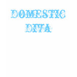 Domestic Diva Cabaret t-shirts