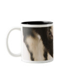 Domesticated British Alpine goat (kid). Black Coffee Mug