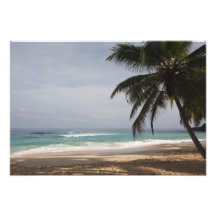 Dominican Republic, North Coast, Abreu, Playa Art Photo