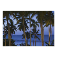 Dominican Republic, Samana Peninsula, Las Photograph