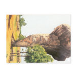 DON QUIXOTE - Animation Background (1979) postcards