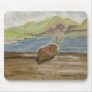 DONE FISHING MOUSE MAT