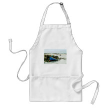 Donegal Beach Ireland Aprons