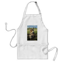 Donkey Aprons