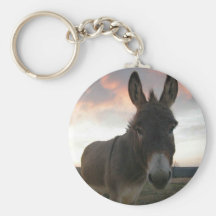 Donkey Art Keychains