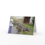 Donkey