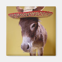 Donkey (Equus hemonius) wearing straw hat Refrigerator Magnet