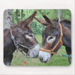 Donkey friends mousemat mouse pad