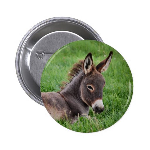 Donkey In The Grass Pinback Button