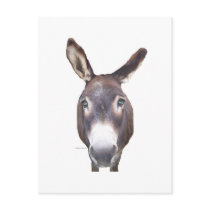 Donkey In Your Face Post Cards