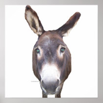 Donkey In Your Face poster print