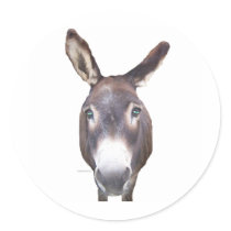 Donkey In Your Face Sticker