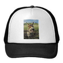 Donkey Mesh Hat