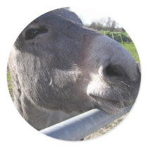 Donkey Sticker