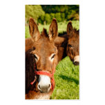 Donkeys business cards