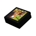 Donkeys Keepsake Box