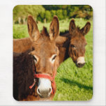 Donkeys Mousepads