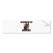 Donkeys Rock