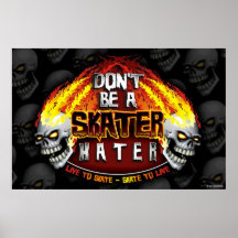 Don't Be A Skater Hater 23X35 Poster