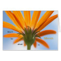 Don't be Afraid to Bloom card