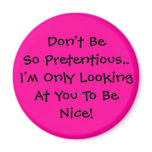 Don't Be Pretentious. I Look to Be Nice magnets