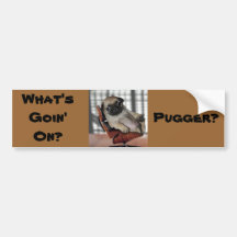 Don't be Pugnacious! Bumper Stickers