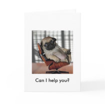 Don't be Pugnacious! Card