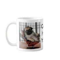 Don't be Pugnacious! Mugs