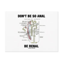 Don't Be So Anal Be Renal (Kidney Nephron)