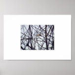 dont belong here posters