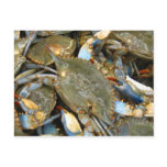 Don't Bother Me...I'm Crabby!