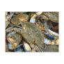 Don't Bother Me...I'm Crabby!