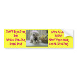 DON'T BREED OR BUY! ADOPT BUMPER STICKERS