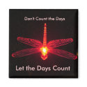Don't Count the Days magnets