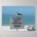 Don't Feed the Birds