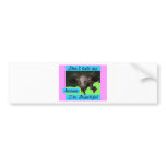 Don't hate me bumper stickers
