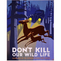 Don't kill our wildlife cut outs