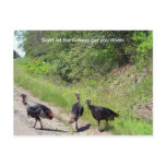Don't Let the Turkeys Get You Down Postcard