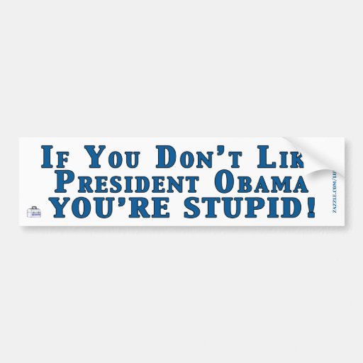 Don't Like Obama - You're Stupid Bumper Sticker