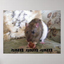dont mess with rufus and his peanut! print