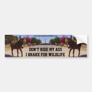 Don't Ride My Ass car bumper sticker