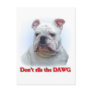 Don't rile the DAWG Postcard