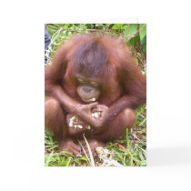 Don't Share #1 - wildlife greeting cards