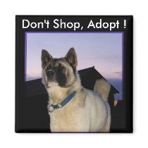 Don't Shop, Adopt ! Akita magnet