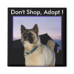 Don't Shop, Adopt ! Akita magnet