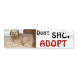 Don't SHOP ~ ADOPT! bumper stickers