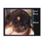 Don't Shop, Adopt Postcards
