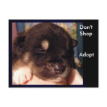 Don't Shop, Adopt Postcards