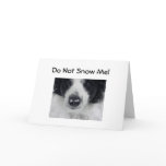 DON'T SNOW ME-50th BIRTHDAY HUMOR Greeting Card
