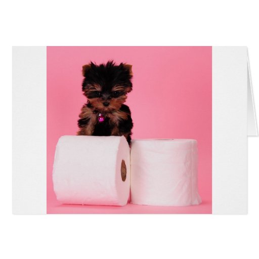 Don't squeeze the Charmin Greeting Card